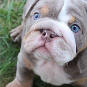 Meet your Posher, Rodolfo